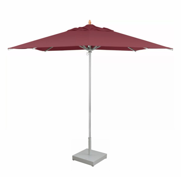 parasol