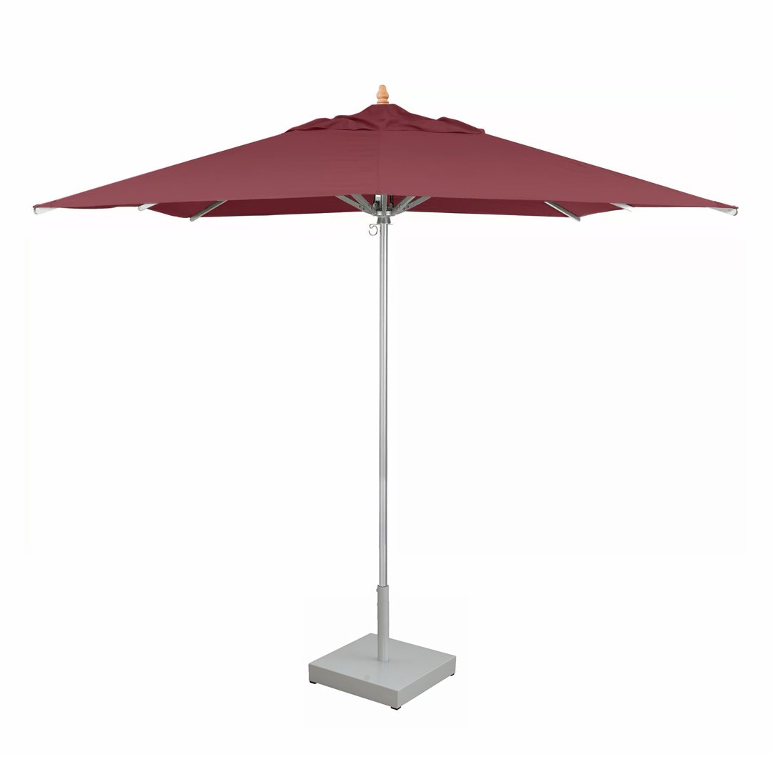 parasol