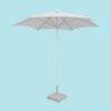 parasol-palma